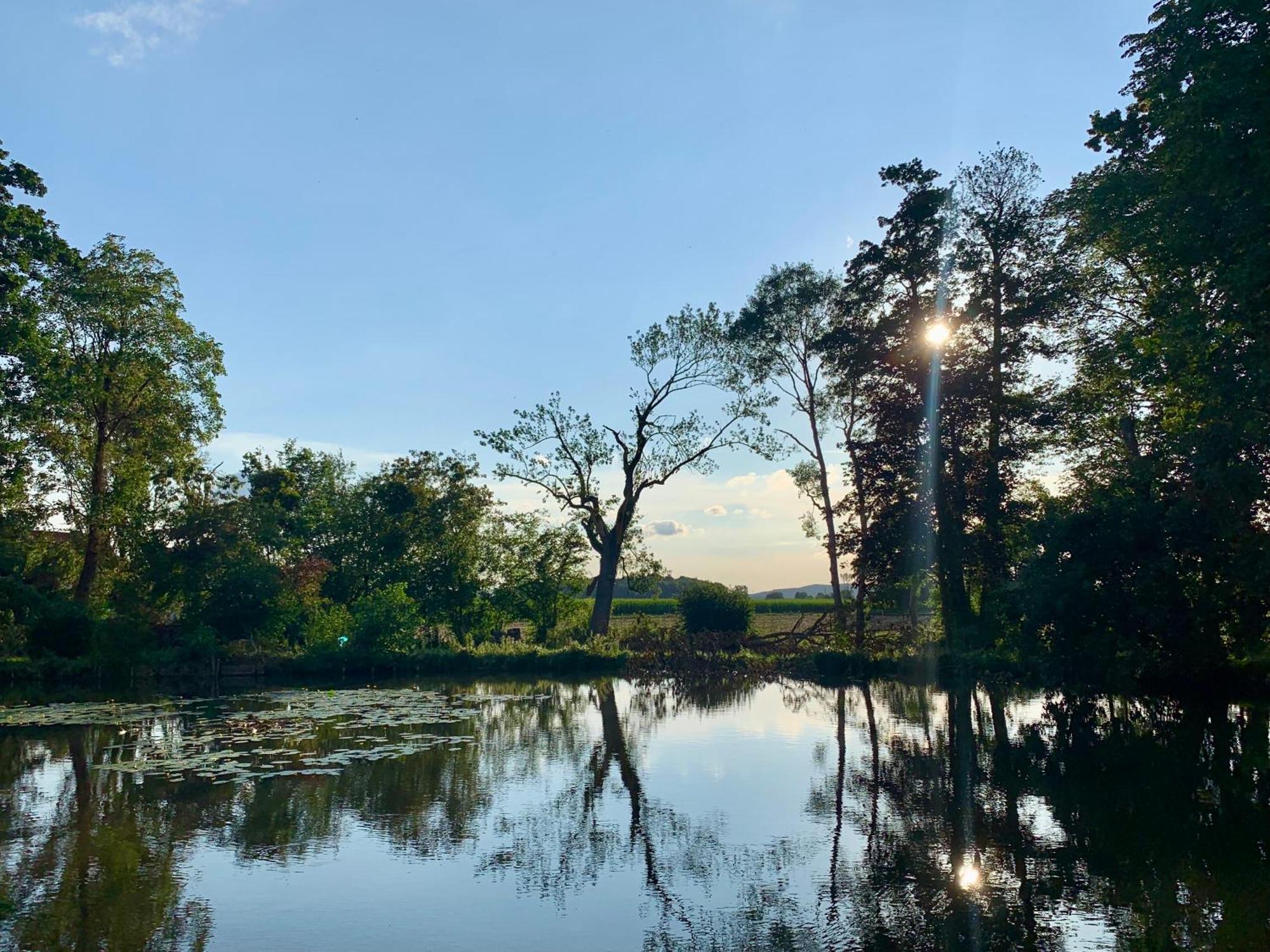 Wohnen Im Wasserschloss Sandizell Schrobenhausen Eksteriør bilde